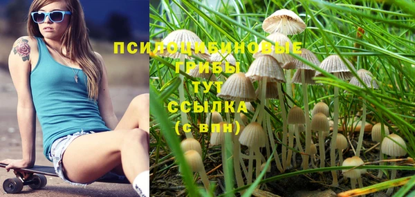 твердый Алексин